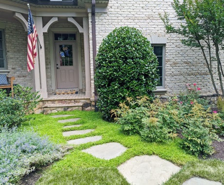 Landscape Maintenance McLean Va