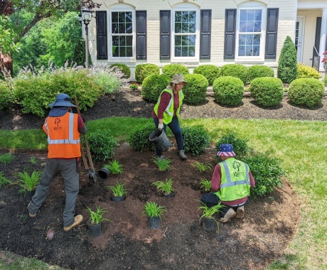 Landscape Maintenance Alexandria Va