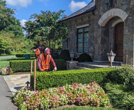 Landscape Maintenance Alexandria Va