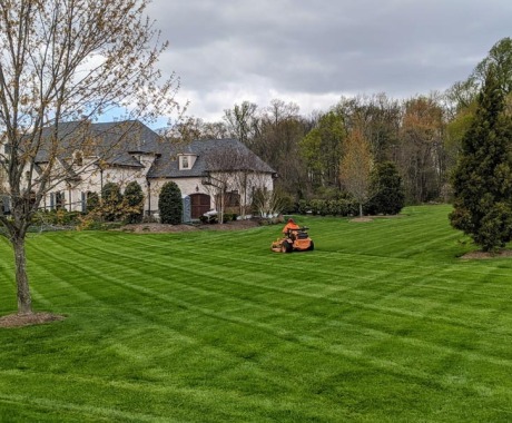 Landscape Maintenance Alexandria Va