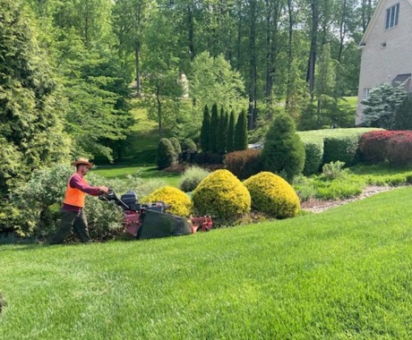 Landscape Maintenance Alexandria Va