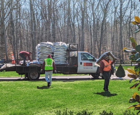 Landscape Maintenance Arlington Va