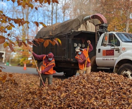 Landscape Maintenance Arlington Va