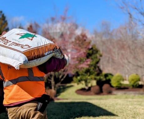 Landscape Maintenance Arlington Va