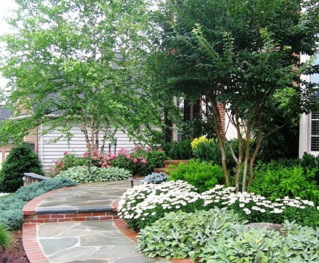 Landscape Maintenance Leesburg Va