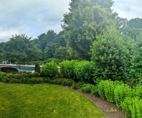 Landscape Maintenance Leesburg Va
