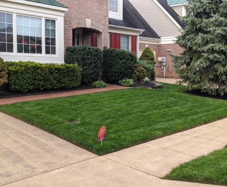Landscape Maintenance McLean Va
