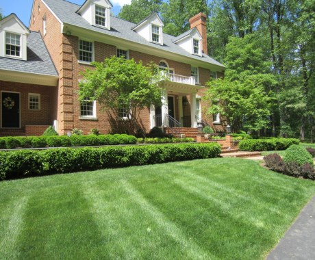Landscape Maintenance McLean Va