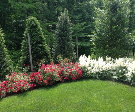 Landscape Maintenance Great Falls Va